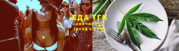 индика Белокуриха