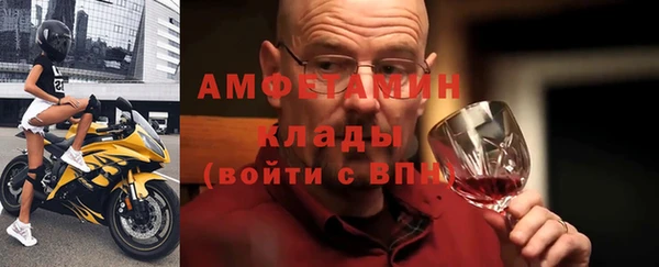 индика Белокуриха