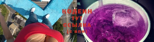 индика Белокуриха