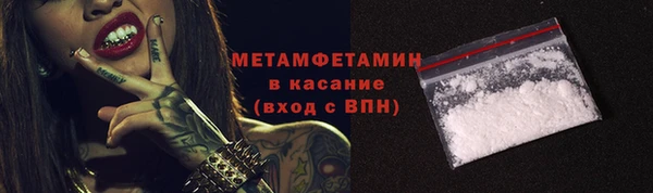 индика Белокуриха