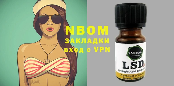 индика Белокуриха
