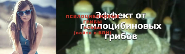 индика Белокуриха