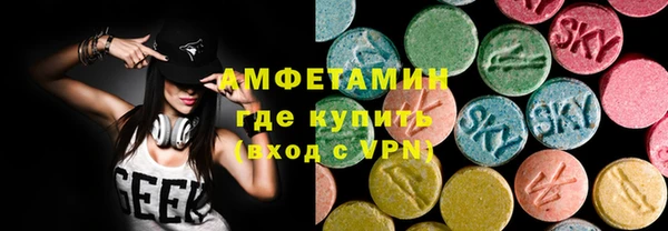 индика Белокуриха