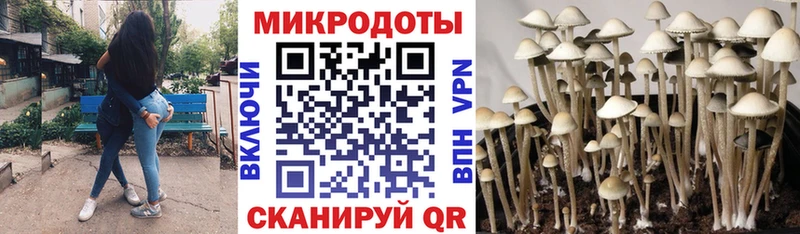 Галлюциногенные грибы ЛСД  Купить  Урус-Мартан 